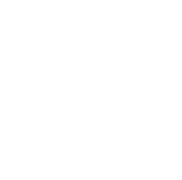 Rennes School of Business ALUMNI